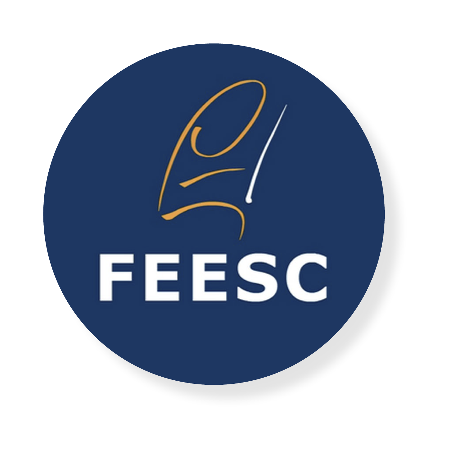 FESSC@2x