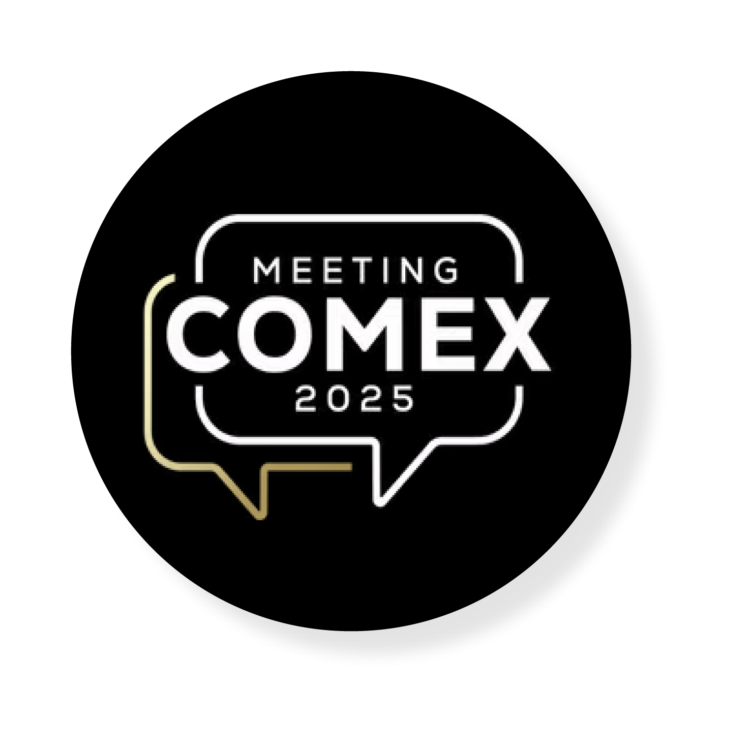 MEETING COMEX@2x